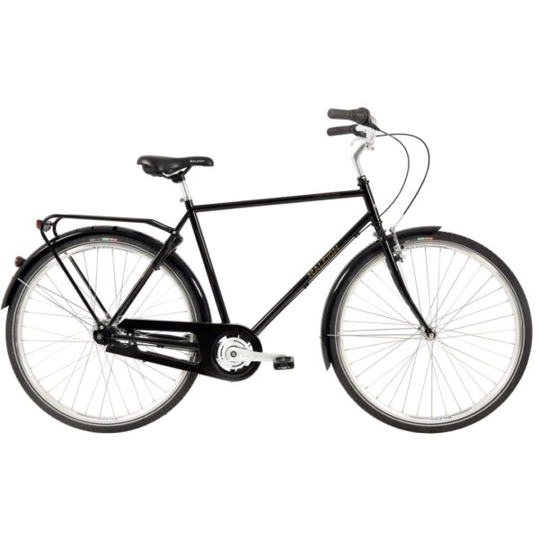 Raleigh Darlington Herre 60 cm 3 gear blank sort